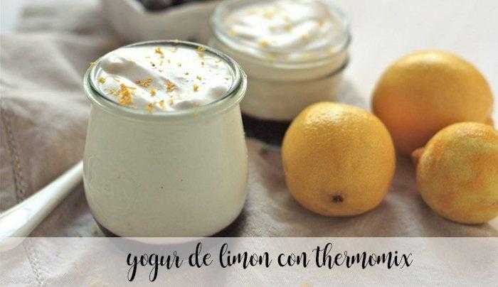 Zitronenjoghurt mit Thermomix