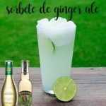 Ginger Ale oder Ingwersorbet mit Thermomix