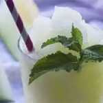 Melonen-Slush mit dem Thermomix