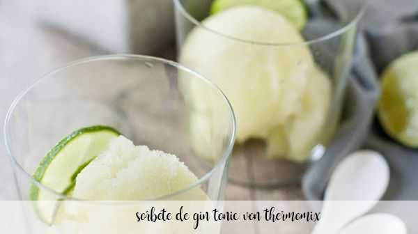 Gin Tonic Sorbet mit Thermomix