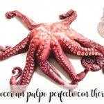 Kochen Sie einen perfekten Oktopus mit Thermomix 