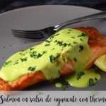 Lachs in Avocadosauce mit Thermomix