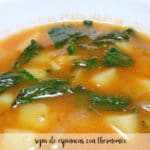 Thermomix-Spinatsuppe