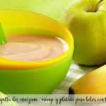 Babynahrung Apfel, Mango und Banane mit Thermomix