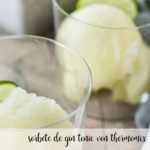 Gin Tonic Sorbet mit Thermomix