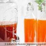 Kombucha-Tee mit Thermomix, Zubereitung und Eigenschaften