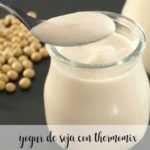Sojajoghurt mit Thermomix