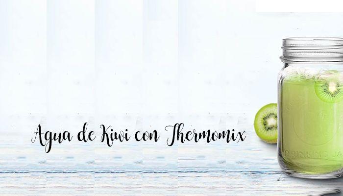 Kiwiwasser mit Thermomix