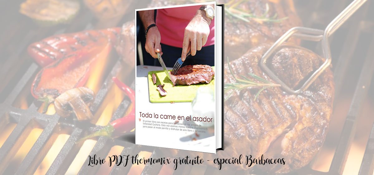Kostenloses thermomix PDF-Buch - spezielle Barbecues