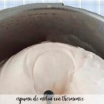 Melonenschaum mit Thermomix