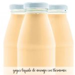 Flüssiger Orangenjoghurt mit Thermomix