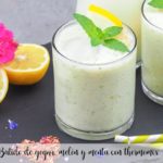 Joghurt-, Melonen- und Minz-Smoothie mit Thermomix