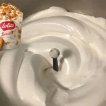Eis MCFlurry mit Lotus-Keksen mit dem Thermomix - das Neueste von McDonald's