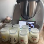 Naturjoghurt mit Thermomix TM6 im Fermentier-Modus